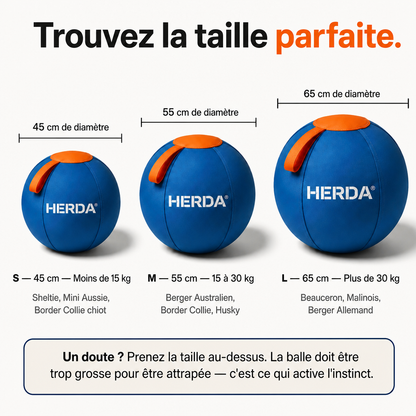 HERDA® — La Balle de Troupeau pour Chiens