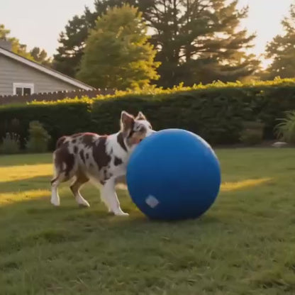 HERDA® — La Balle de Troupeau pour Chiens